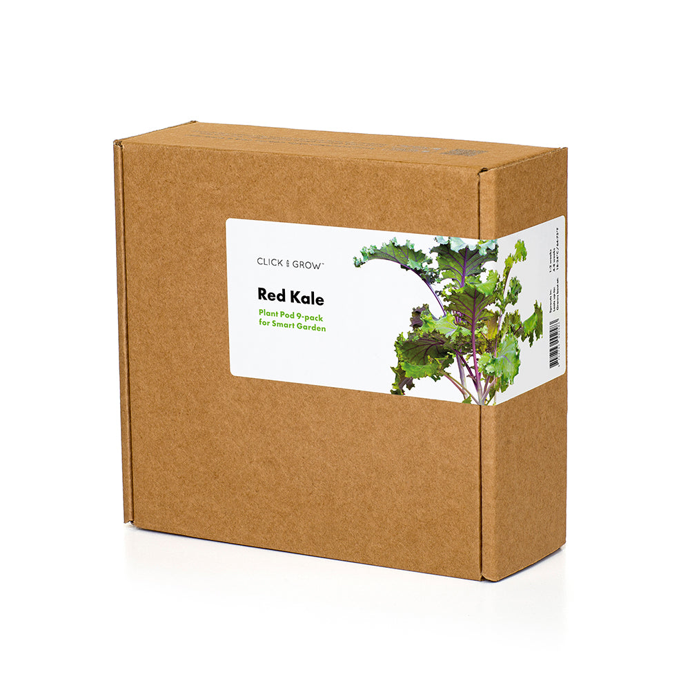 Click & grow Pflanzkapsel Rotkohl 9er Packung