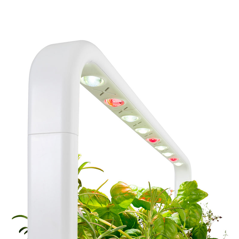 Click & Grow Smart Garden 9 Indoor Kräutergarten Lampen