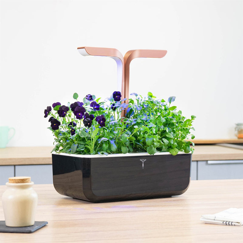 Véritable Smart Cooper - Indoor Kräutergarten (Farbe: Soft Black) - Küche